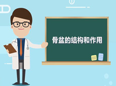 【醫(yī)療科普】：你知道骨盆在人體中有什么作用嗎？